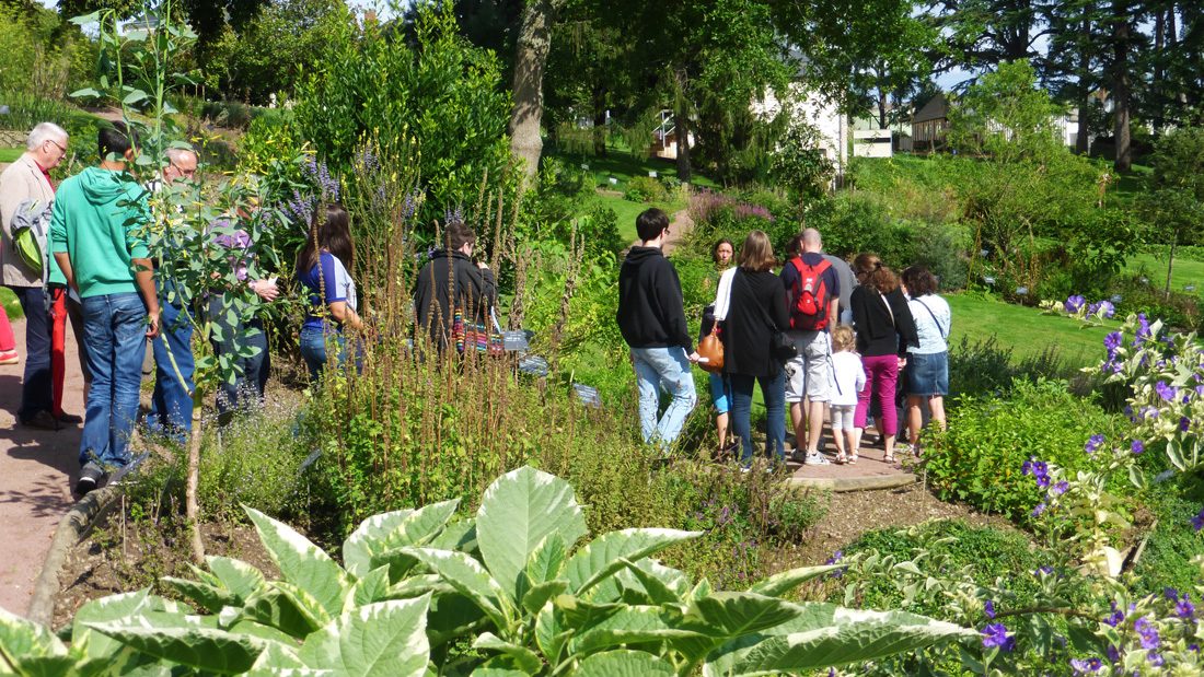 visite guidée Jardin Camifolia