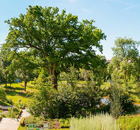 jardin remarquable, jardin pédagogique, jardin botanique