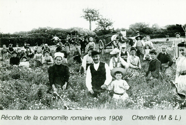 jardin remarquable, jardin pédagogique, jardin botanique