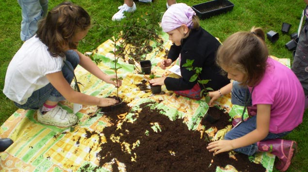 aniamtion pédagogique culture plantes Jardin Camifolia