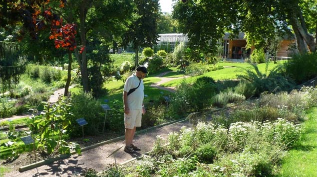 jardin botanique Jardin Camifolia