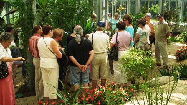 visite guidée groupes Jardin Camifolia