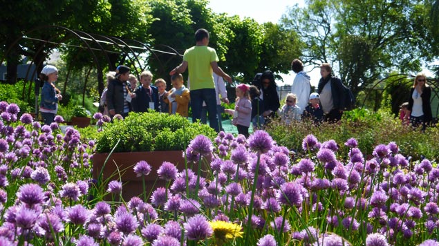 animation pédagogique saison Jardin Camifolia