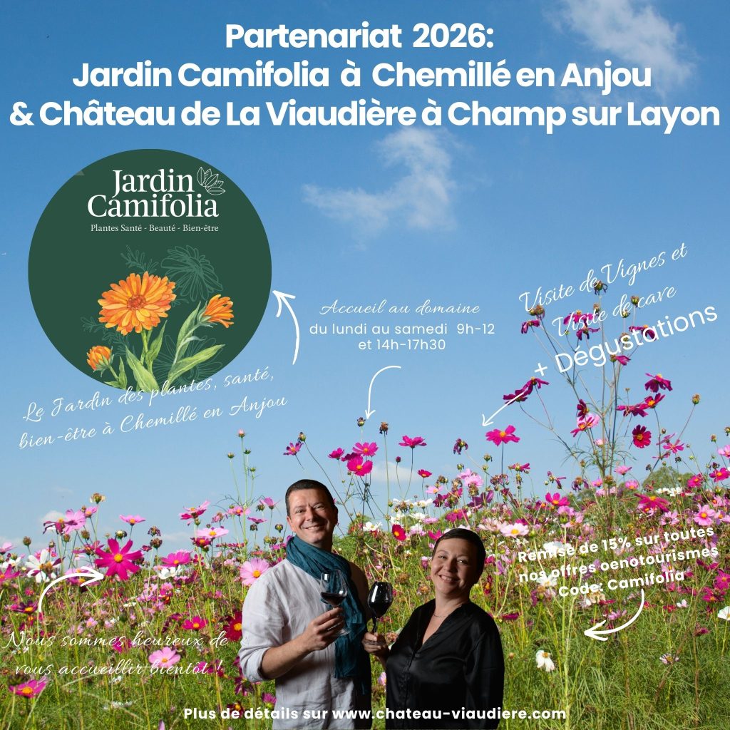 Communication Château Viaudière