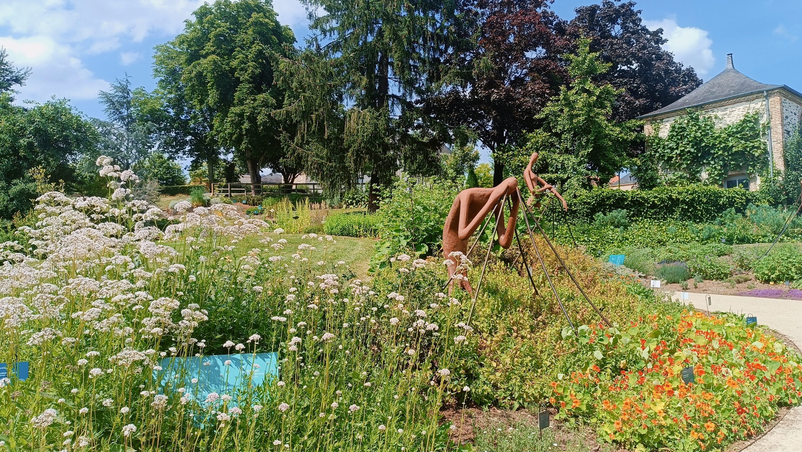 Le Jardin Camifolia